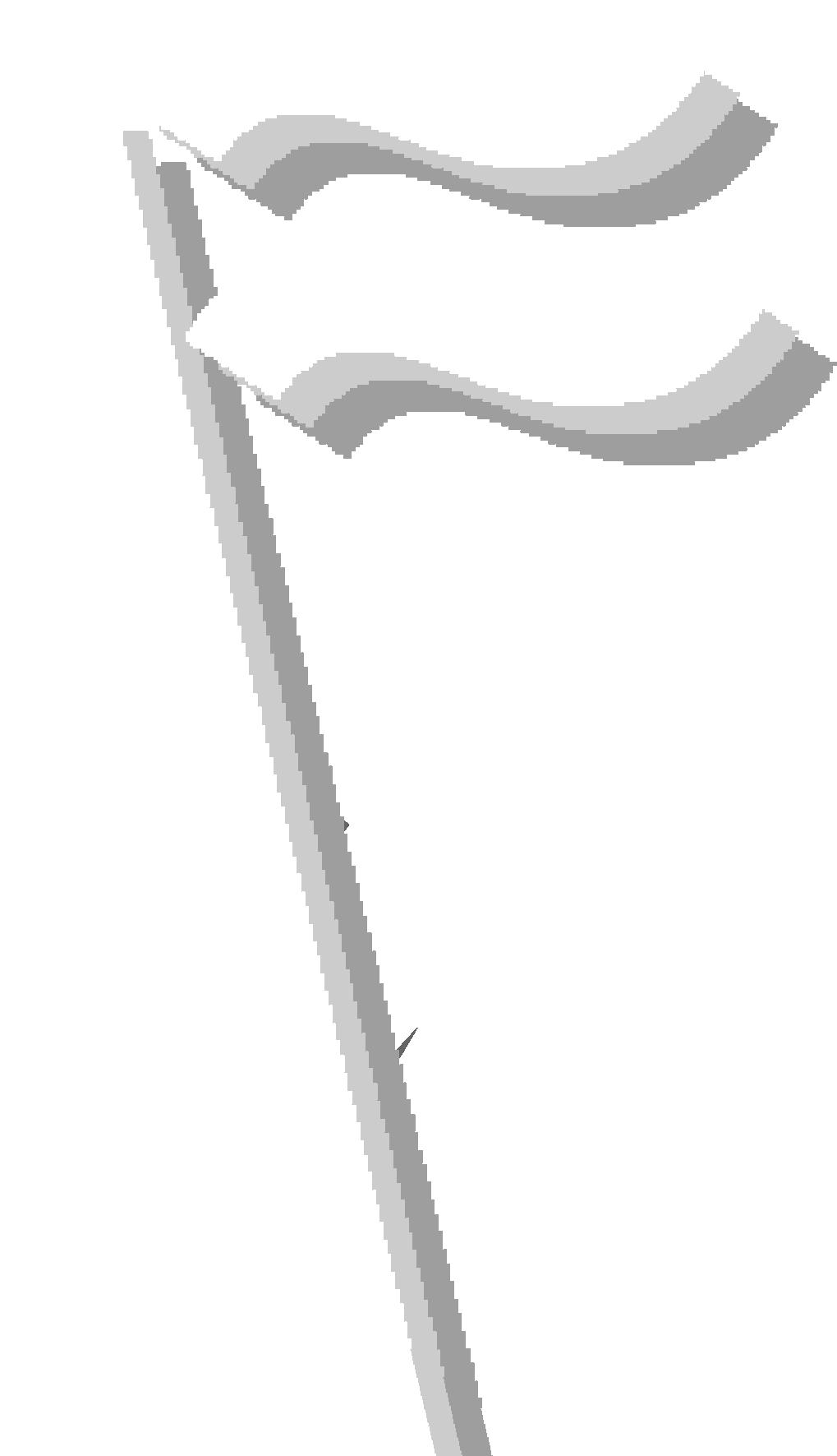 SilverFlag